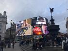 The lights of Picadilly Circus aren't quite as impressive of those in Times Square, but they're still fun to see