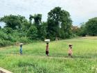 Young girls cross a field to sell the items they're carrying on their heads