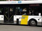 The city bus is one way kids go to school. It is a hybrid bus with a quiet engine so you must be careful when cycling because it is difficult to hear it passing you