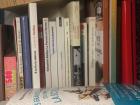 My French bookshelf: Parisians often read while on the metro!