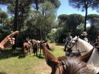 While riding through the woods, we found a group of 22 other people on horseback setting up a picnic