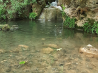 The waterfall I visited in northern Israel, called Ein Ayov