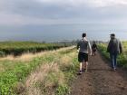 My friend walks ahead of me on a hiking trail next to an agricultural field