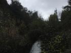 This waterfall is very far north in Israel, near the border with Lebanon