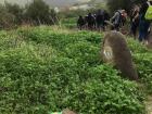 The land in the north of Israel easily produces food, but the entire country is not as green and lush as this