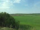 Everything is finally turning green - a sign that Spring has arrived 