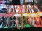 As an island, Taiwan has some great fish markets