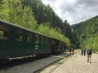 My friends and I rode a steam train through Maramures Mountains Natural Park