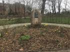 Daffodils around a monument