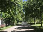 Greifswald is finally green again