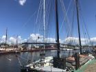 Sailboats at the harbor