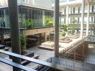 Mahidol has beautiful open space concepts that keep students cool