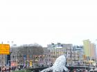 Whale sculpture in Utrecht