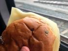 Eating a "krentenbol" (raisin bun) on the train
