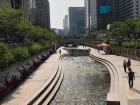 Amit loves walking by Cheonggyecheon stream every day on his way to work