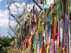 At the Demilitarized Zone, people tie ribbons as a hopeful wish that someday they will reunite with their families across the Korean border