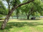 Families get to enjoy a relaxing picnic 