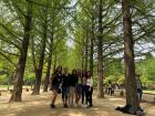 A group photo of my friends and me with the beautiful scenic metasequoia trees