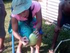 Scraping breadfruit with a sliced can in preparation for lunch