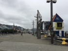 Views from the Wellington waterfront walk