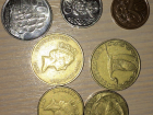 An assortment of New Zealand coins.