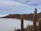 The cactus island in the middle of the salt flat