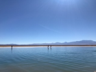 The two figures in the distance are my friend and I standing in the lagoon