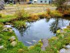 This pond was only a few feet deep and had about a dozen koi