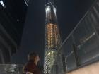 Despite being the second tallest building in the world, the SkyTree survived the 2011 earthquake
