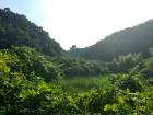 Just a 30 minutes walk away from my university is this view from a park on top of a hill