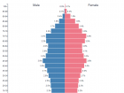 Japan has many elderly and fewer children being born, making this pyramid top heavy