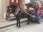 You can take a carriage ride around the old town