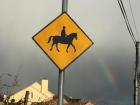 Beware horseback riders