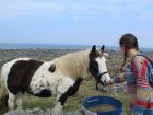 Made sure to let this horse know we're friendly by letting it sniff us