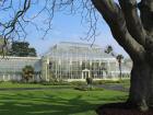 The Dublin Botanical Gardens 