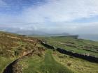 The Irish landscape is covered in fields that are divided by stone fences 