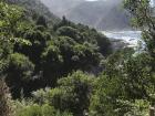 This side of a mountain had a lot of lush green vegetation 