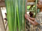 A man in Alait Makai making roofing material using raffia palm leaves 