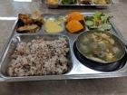 A school lunch of pork, honey mustard, dumplings, rice, oranges and salad