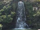 One of Jeju Island's waterfalls