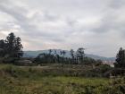 A field on Jeju Island with a small mountain in the background 