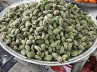 Interesting green fuzzy almonds at a nearby market