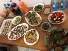 Our vegetarian French and Palestinian fusion dinner we cooked with ingredients we picked from the farms we visited