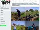 A Facebook post by an organization that sets up trips and programs to partake in olive tree planting and harvesting
