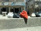 Residents of areas surrounding Qalandia do not receive government trash services, so they collect trash on the medians and dispose of it elsewhere