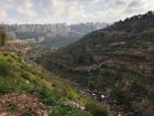 Trash thrown in a valley near Ramallah