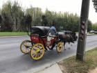 Occasionally, you come across a different form of transport, for example this carriage plodding along the highway 