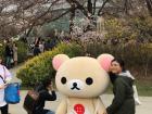 At the Cherry Blossom Festival I was able to take a picture with this cute bear
