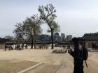 From Gyeongbokgung Palace, you can see the modern buildings in Seoul