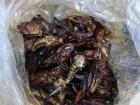A closeup of the chapulines